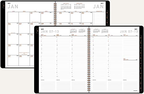 AT-A-GLANCE Weekly / Monthly Appointment Book / Planner 2019, 8.25 x 10.88 Inches, Contemporary, Graphite (70-950X-45)