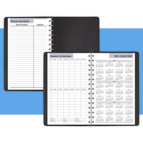 Academic Planner 2021-2022, AT-A-GLANCE Daily Appointment Book & Planner, 5" x 8", Small, for School, Teacher, Student, DayMinder, Black (AY4400)