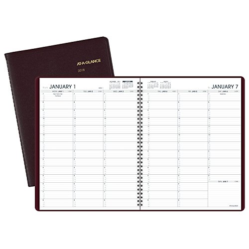 AT-A-GLANCE Weekly Appointment Book / Planner, January 2018 - January 2019, 8-1/4" x 10-7/8", Winestone (7095050)