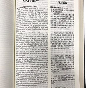 Bilingual English Chinese Holy Bible / English Standard Version - Revised Chinese Union Version, Simplified Chinese / ESV/RCUV / Blue Pearl Vinyl with Golden Edges, Maps, Large Chinese Characters