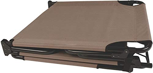 Coleman Converta Folding Cot