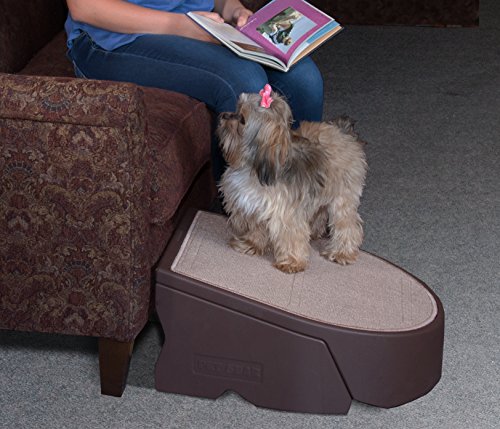 Pet Gear Stramp Stair and Ramp Combination for Dogs/Cats, Easy Step, Lightweight/Portable, Sturdy, Easy Assembly (No Tools Required) 2 Models, 3 Colors