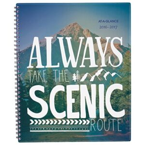 AT-A-GLANCE Academic Year Monthly Planner/Appointment Book, July 2016 - June 2017, 8-1/2"x11", Design Selected for You May Vary (183-900A)