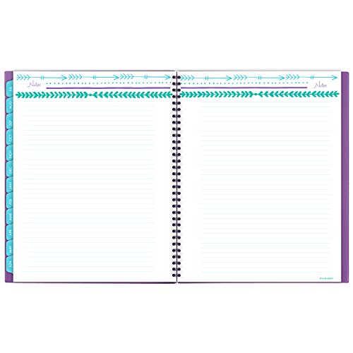 AT-A-GLANCE Academic Year Monthly Planner/Appointment Book, July 2016 - June 2017, 8-1/2"x11", Design Selected for You May Vary (183-900A)