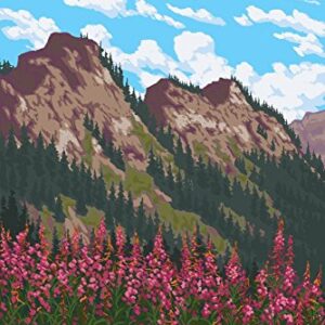 Frisco, Colorado, Fireweed and Mountains (24x36 Giclee Fine Art Print, Recycled Wood Frame, Espresso Brown)