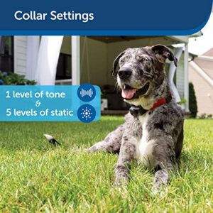 PetSafe Basic In-Ground Fence Battery-Operated Receiver Collar for Dogs & Cats, Lightweight, Waterproof, From The Parent Company of Invisible Fence Brand, 4 Levels of Static Correction, Pets 8 lb & Up