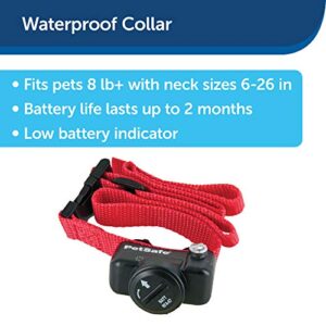 PetSafe Basic In-Ground Fence Battery-Operated Receiver Collar for Dogs & Cats, Lightweight, Waterproof, From The Parent Company of Invisible Fence Brand, 4 Levels of Static Correction, Pets 8 lb & Up