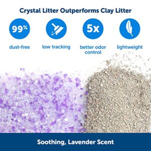 PetSafe ScoopFree Premium Crystal Cat Litter - 5x Better Odor Control Than Clay Litter - Less Tracking & Dust For A Fresh Home - Non-Clumping - Two 4.3 lb Bags Of Litter (8.6 lb Total) - Lavender