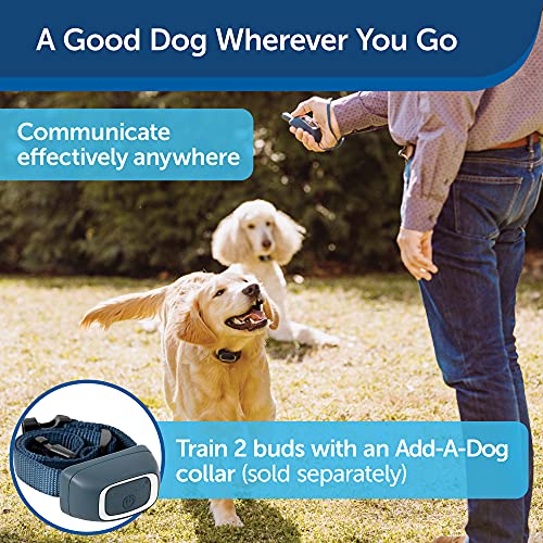 PetSafe 300 Yard Remote Training Collar – Choose from Tone, Vibration, or 15 Levels of Static Stimulation – Medium Range Option for Training Off Leash Dogs – Waterproof and Durable – Rechargeable