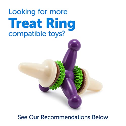 PetSafe Treat Rings for Busy Buddy Dog Toys - Easy to Digest - Interactive Toy Refills for Aggressive Chewers - Stimulating Puppy Supplies - Eases Stress - 24 Rings - Size C - Original/Peanut Butter