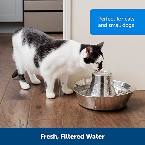 PetSafe Seaside Stainless Cat & Dog Fountain - 2 Water Filters & 1 Pump Included - Tower Creates Soothing Flow for Pets - Scratch- and Rust-Resistant Material Inhibits Pet Acne - 60 Oz Water Capacity