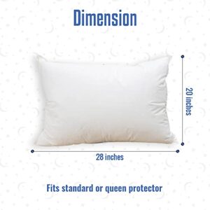 Continental Bedding - Affinity Down Alternative Bed Pillow - 300 Thread Count 100% Soft Cotton Super Standard Queen Size 20x28 Pillow Pack of 2 Best Polyester Pillow for Sleeping