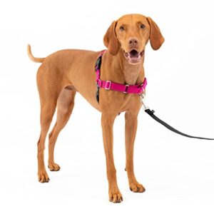 petsafe easy walk no-pull dog harness – the ultimate harness to help stop pulling – take control & teach better leash manners – helps prevent pets pulling on walks – medium, raspberry/gray