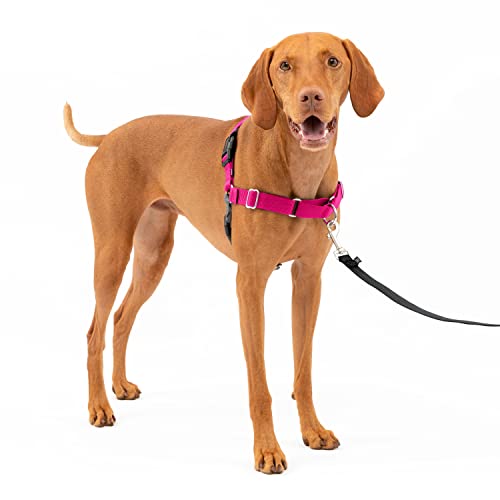 PetSafe Easy Walk No-Pull Dog Harness - The Ultimate Harness to Help Stop Pulling - Take Control & Teach Better Leash Manners - Helps Prevent Pets Pulling on Walks - Medium, Raspberry/Gray