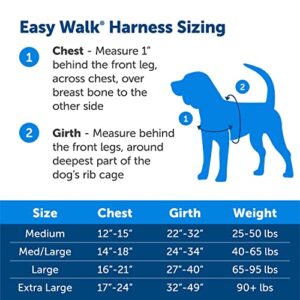 PetSafe Easy Walk No-Pull Dog Harness - The Ultimate Harness to Help Stop Pulling - Take Control & Teach Better Leash Manners - Helps Prevent Pets Pulling on Walks - Medium, Raspberry/Gray