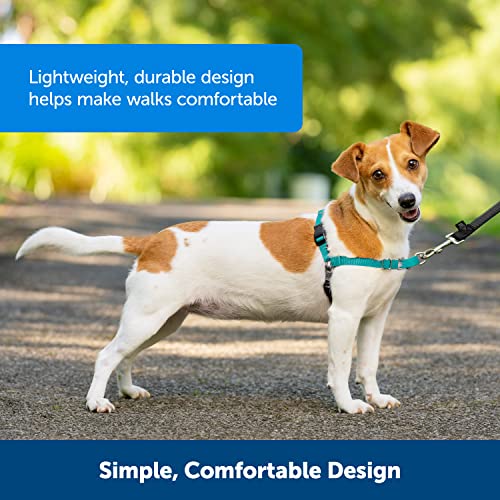 PetSafe Easy Walk No-Pull Dog Harness - The Ultimate Harness to Help Stop Pulling - Take Control & Teach Better Leash Manners - Helps Prevent Pets Pulling on Walks - Medium, Raspberry/Gray