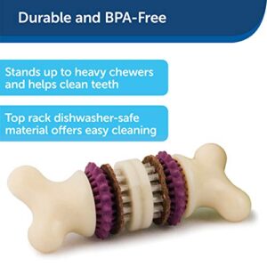 PetSafe Busy Buddy Bristle Bone - Treat-Holding Toy for Dogs - Treat Rings Included - Treats Thoroughly Mixed During Bake to Prevent Choking - Rigorously Tested Ingredients - Purple, Medium