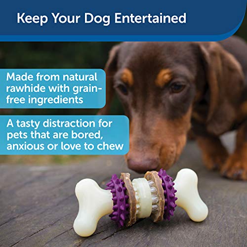 PetSafe Busy Buddy Bristle Bone - Treat-Holding Toy for Dogs - Treat Rings Included - Treats Thoroughly Mixed During Bake to Prevent Choking - Rigorously Tested Ingredients - Purple, Medium