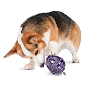 petsafe busy buddy kibble nibble meal dispensing dog toy, small – pty00-13739,purple