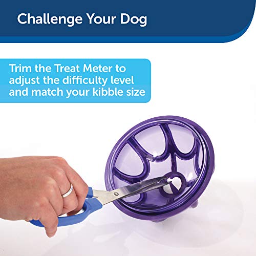 PetSafe Busy Buddy Kibble Nibble Meal Dispensing Dog Toy, Small - PTY00-13739,purple