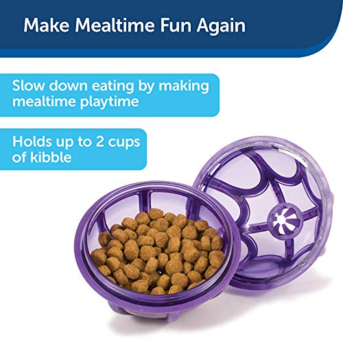 PetSafe Busy Buddy Kibble Nibble Meal Dispensing Dog Toy, Small - PTY00-13739,purple