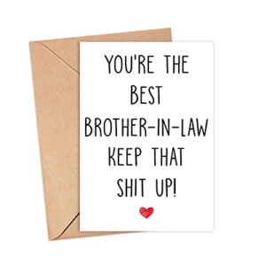 Arezzaa You're The Best Brother-In-Law Keep That Shit Up - Birthday Card Funny For Thank You Being My Gifts Brother-In-Law, 5 x 7 inches