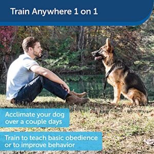 PetSafe Collarless Remote Trainer - Handheld Ultrasonic & Tone Dog Training - Correct Behavior such as Barking, Digging, Jumping - Similar to an Electronic Dog Whistle, No Collar Required