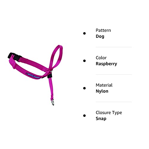 PetSafe Gentle Leader Headcollar, No-Pull Dog Collar – Perfect for Leash & Harness Training – Stops Pets from Pulling and Choking on Walks – Large, Raspberry Pink