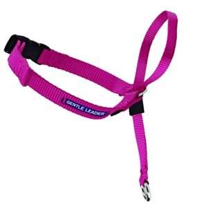 petsafe gentle leader headcollar, no-pull dog collar – perfect for leash & harness training – stops pets from pulling and choking on walks – large, raspberry pink
