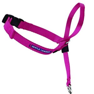 PetSafe Gentle Leader Headcollar, No-Pull Dog Collar – Perfect for Leash & Harness Training – Stops Pets from Pulling and Choking on Walks – Large, Raspberry Pink