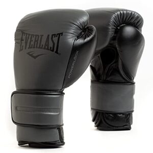 everlast powerlock2 pro hook & loop leather boxing training gloves