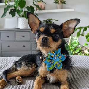 H&K Pet Pinwheel | Cinco Fiesta (Small) | Velcro Collar Accessory for Dogs/Cats | Fun Pet Pinwheel Collar Attachment | Cute, Comfortable Pet Accessory