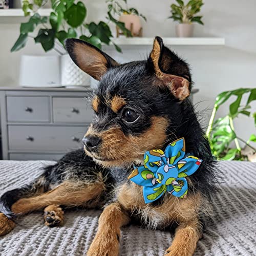 H&K Pet Pinwheel | Cinco Fiesta (Small) | Velcro Collar Accessory for Dogs/Cats | Fun Pet Pinwheel Collar Attachment | Cute, Comfortable Pet Accessory