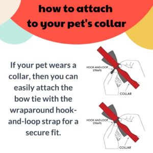 H&K Bow Tie for Pets | Fall Check (Small) | Velcro Bow Tie Collar Attachment | Fun Bow Ties for Dogs & Cats | Cute, Comfortable, and Durable | Huxley & Kent Bow Tie