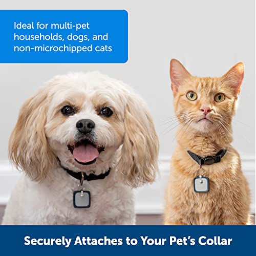 PetSafe® SmartDoor™ Connected Pet Door Key for Dogs and Cats, Collar Key, Large ZAC19-17682