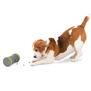 petsafe kibble chase – electronic & interactive dog treat dispensing toy, encourages play time, adjustable opening, 10 minutes play and rest, holds 1/2 cup of treats, durable plastic