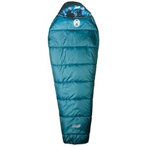 Coleman Kids 30 Degree Sleeping Bag, Blue Bandit