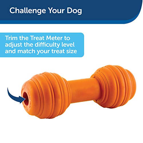 PetSafe Sportsmen Chuckle Interactive Dog Toy with Noise Maker - Use with Food or Treats