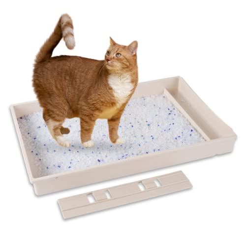 TonGass Reusable Self-Cleaning Cat Litter Box Tray Refills with 4.5LB Crystal Cat Litter Compatible with PetSafe ScoopFree Automatic Cat Litter Box (Beige) - Fits All 1st and 2nd Gen