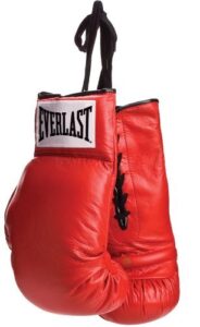 everlast leather autograph gloves