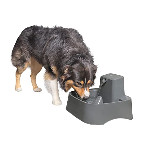 PetSafe 37016468: Drinkwell Pet Fountain 2gal