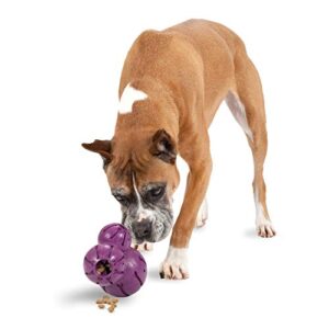petsafe busy buddy barnacle – dog chew toy – treat dispensing dog toys purple large