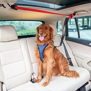 petsafe happy ride dog zipline – back seat leash, great for travel red 72 in