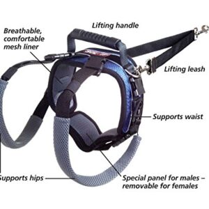 PetSafe CareLift Rear Support Harness - Lifting Aid with Handle and Shoulder Strap - Great for Pet Mobility and Older Dogs - Comfortable, Breathable Material - Easy to Adjust - Medium, Black