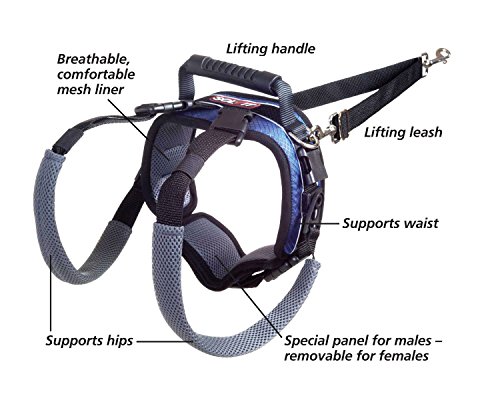 PetSafe CareLift Rear Support Harness - Lifting Aid with Handle and Shoulder Strap - Great for Pet Mobility and Older Dogs - Comfortable, Breathable Material - Easy to Adjust - Medium, Black