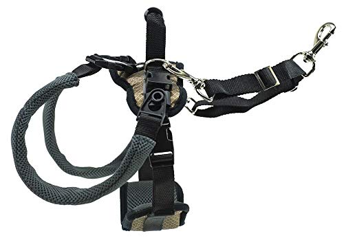 PetSafe CareLift Rear Support Harness - Lifting Aid with Handle and Shoulder Strap - Great for Pet Mobility and Older Dogs - Comfortable, Breathable Material - Easy to Adjust - Medium, Black