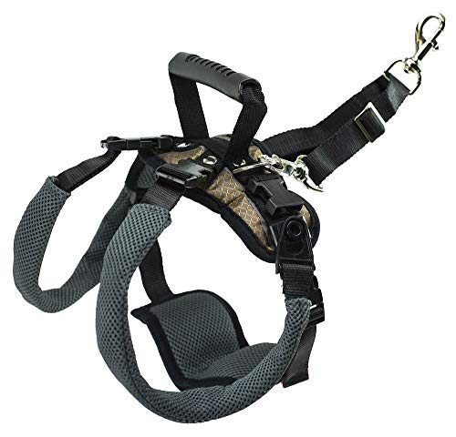 PetSafe CareLift Rear Support Harness - Lifting Aid with Handle and Shoulder Strap - Great for Pet Mobility and Older Dogs - Comfortable, Breathable Material - Easy to Adjust - Medium, Black