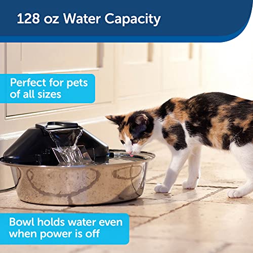 PetSafe Drinkwell Zen Stainless Steel Dog and Cat Water Fountain, Pet Drinking Fountain, 128 oz. Water Capacity