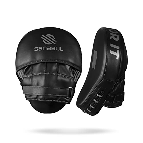 Sanabul Essential Curved Boxing MMA Punching Mitts for Sparring and Training (Metallic Silver)