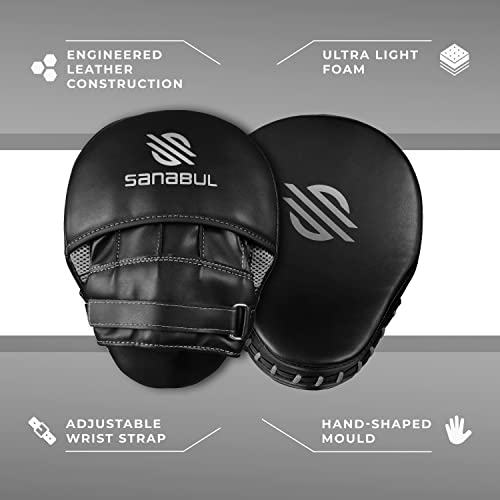 Sanabul Essential Curved Boxing MMA Punching Mitts for Sparring and Training (Metallic Silver)